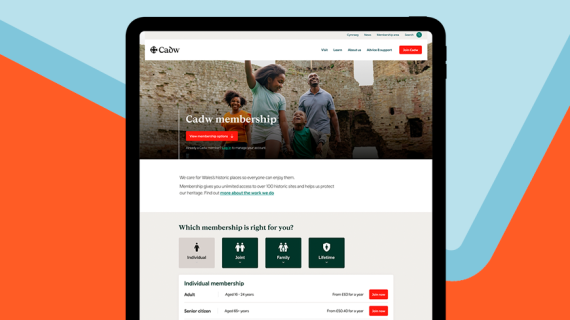 Content design