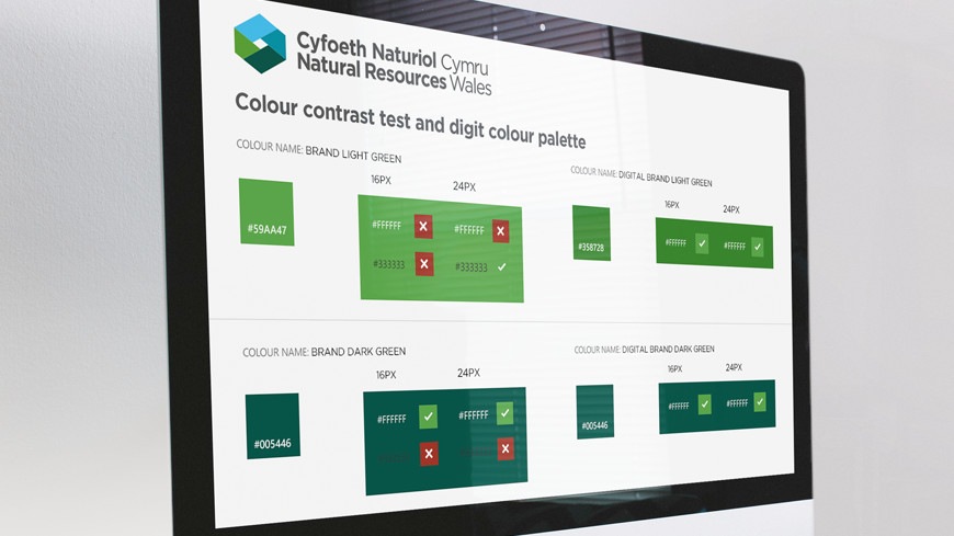 Web branding, concepts and campaigns